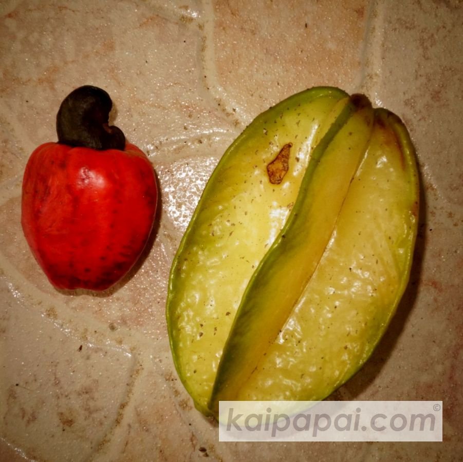 4- FRUITS, PLANTS & TASTEBUDS_4-2- FRUITS & PLANTS_4-2-1- Kaï Papaï's Orchard_4-2-1-2- What's growing_@0082